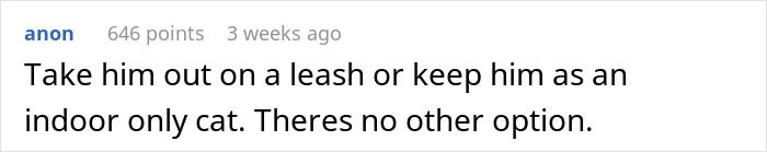 Comment about a cat disappearing for days and advice to keep the cat indoors or on a leash for safety.