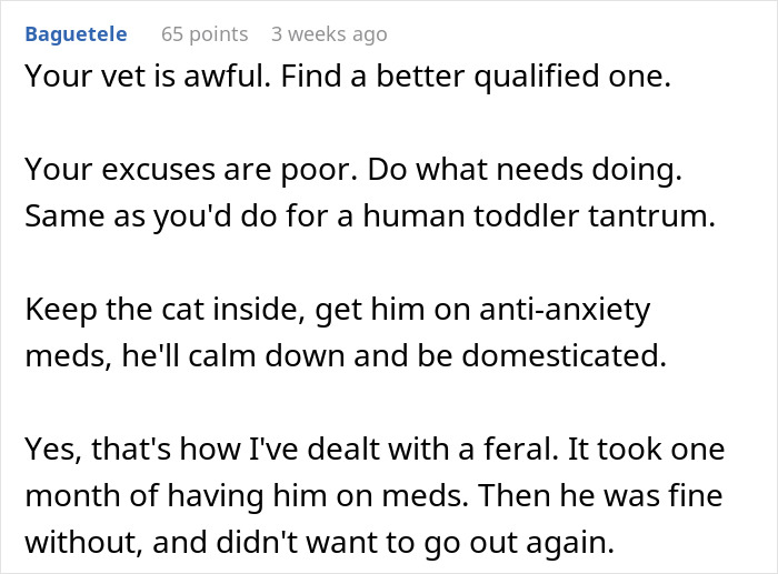Comment criticizing a vet and suggesting anti-anxiety meds to calm a cat that keeps disappearing days.
