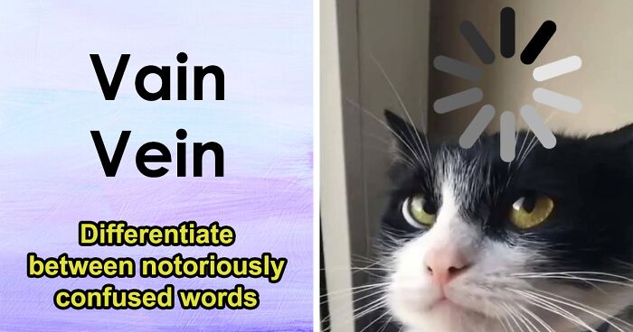 Choose The Right Word Without Getting Dizzy: 36 Commonly Confused Word Pairs