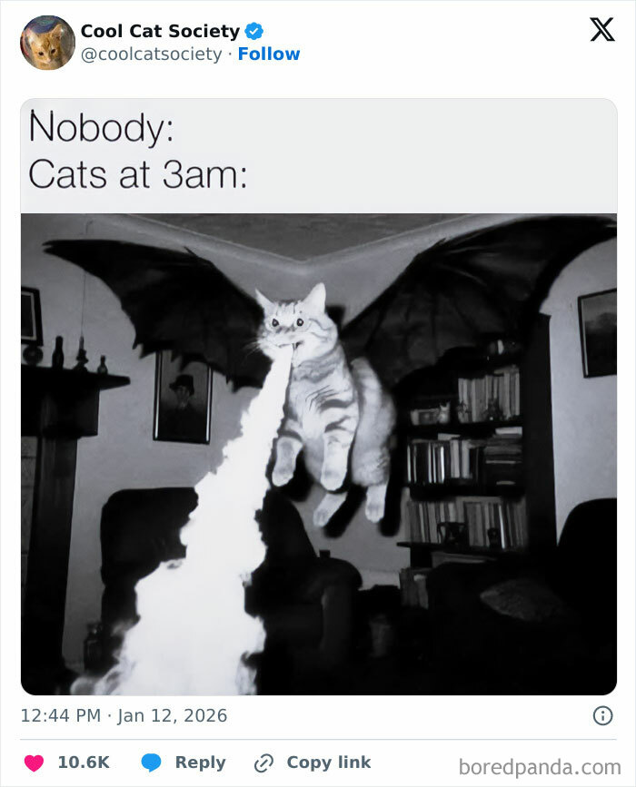 Black and white meme of a cat with dragon wings breathing fire, showcasing funny memes about how awesome cats are.