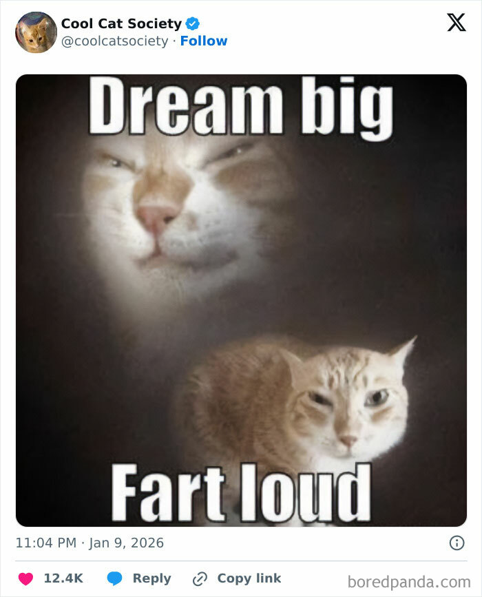Funny cat meme with a smirking cat face and text reminding how awesome cats are with a humorous twist.