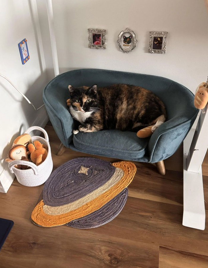 Cozy corner with cool interior design ideas featuring a small sofa, planet-shaped rug, and framed wall art.