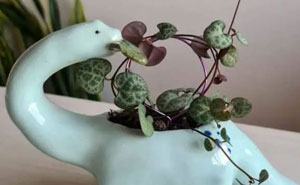 50 Cool Interior Design Ideas That Might Inspire You To Upgrade Your Home