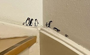 50 Cool Interior Design Ideas That Might Inspire You To Upgrade Your Home