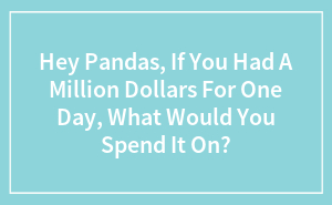 Hey Pandas, If You Had A Million Dollars For One Day, What Would You Spend It On?