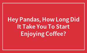 Hey Pandas, How Long Did It Take You To Start Enjoying Coffee?