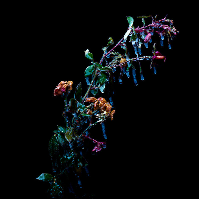 I Revived A Historic 3D Photo Technique