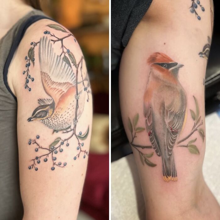 The Timeless Bird Tattoos By Tara Morgan