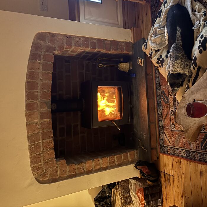 Hey Pandas, Share Photos Of Cosy Winter Evenings With Your Pets