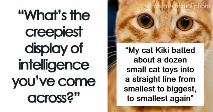 People Share Stories About Someone Extremely Intelligent That They’ve Met