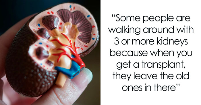 “Your Internal Organs Itch”: 58 Facts About The Human Body That Might Keep You Up At Night