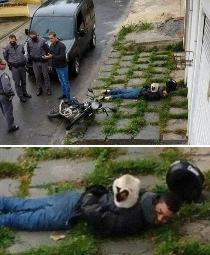 Man lying on grass-covered pavement after a motorcycle fall, with a cat calmly sitting on his back in a random cringe photo.