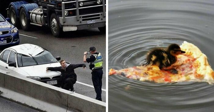 137 Random And Cringe Photos For Those With A Unique Sense Of Humor