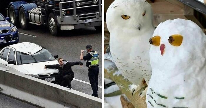 137 Random And Cringe Photos For Those With A Unique Sense Of Humor