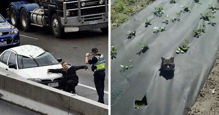 137 Random And Cringe Photos For Those With A Unique Sense Of Humor