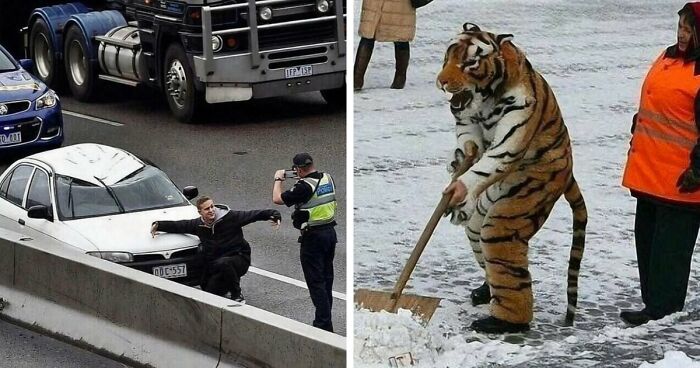 137 Random And Cringe Photos For Those With A Unique Sense Of Humor