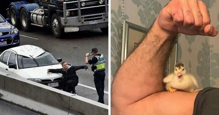 137 Random And Cringe Photos For Those With A Unique Sense Of Humor