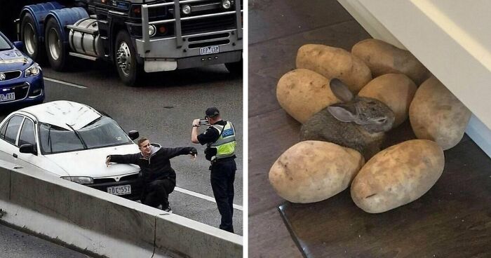 137 Random And Cringe Photos For Those With A Unique Sense Of Humor