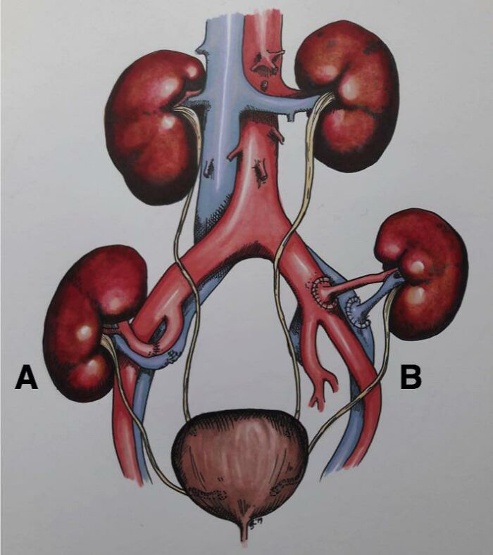 62 Medical Facts That Sound Made Up Even Though They Are True