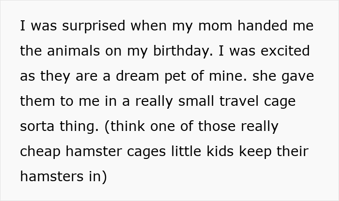 Teen caring for gifted chinchillas in a small travel cage, aiming to give them a proper life despite mom’s disagreement. Teen caring for gifted chinchillas in a small travel cage, aiming to give them a proper life despite mom’s disagreement.