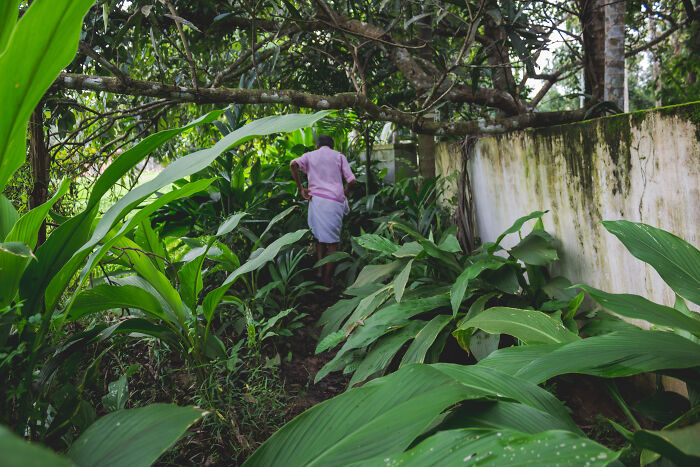 Medical professional walking through dense green foliage near a concrete wall in an outdoor tropical setting.