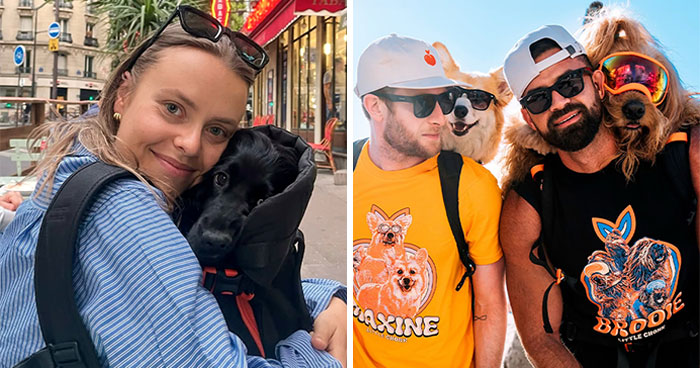 44 Wholesome Photos Of Pups Being Carried Through Cities In Backpacks