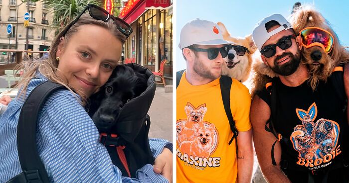 44 Wholesome Photos Of Pups Being Carried Through Cities In Backpacks
