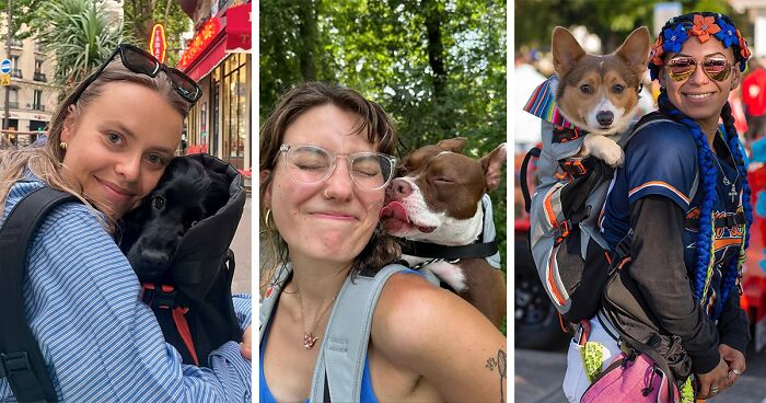 44 Wholesome Photos Of Pups Being Carried Through Cities In Backpacks