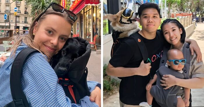 44 Wholesome Photos Of Pups Being Carried Through Cities In Backpacks