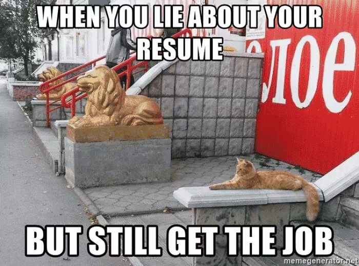 Funny resume meme showing a cat lying next to a golden lion statue about lying on a resume and getting hired.