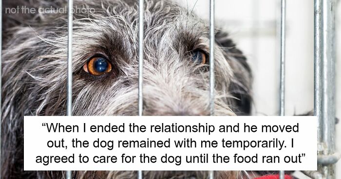 Woman Can’t Handle Ex’s Dog, Threatens To Take It To A Shelter And He Doesn’t Do Anything