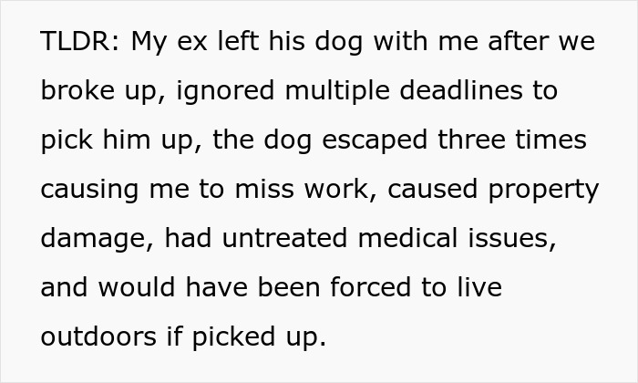 Text describing a woman struggling to handle her ex&rsquo;s dog, threatening to take it to a shelter while he does nothing.