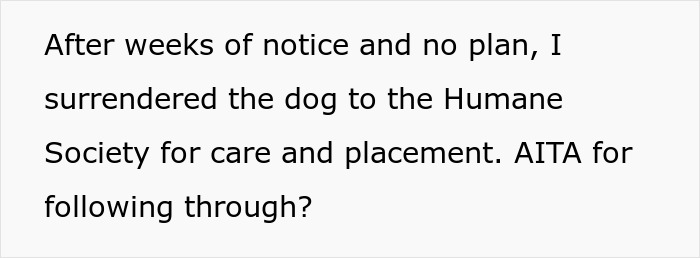 Woman struggles to handle ex&rsquo;s dog, threatens shelter placement after no plan from him.