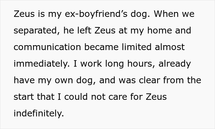Woman struggling to care for ex&rsquo;s dog Zeus, working long hours and unable to handle the responsibility indefinitely.