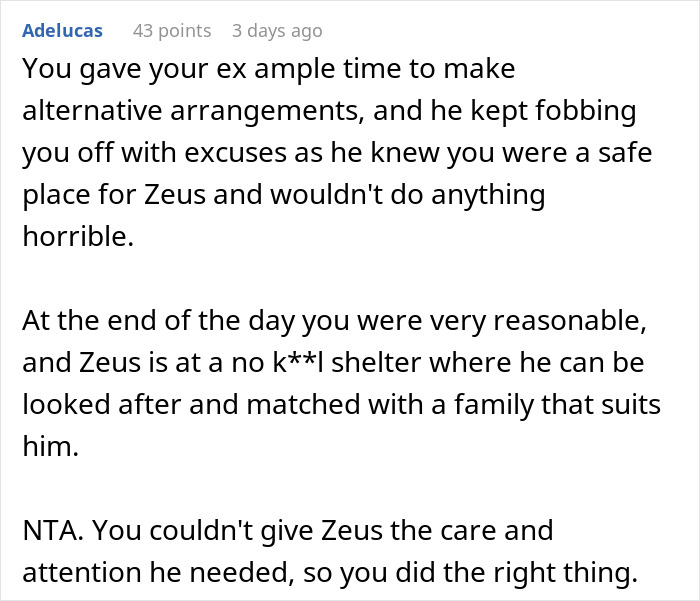 Comment discussing a woman threatening to take her ex&rsquo;s dog to a shelter due to his inaction and care issues.