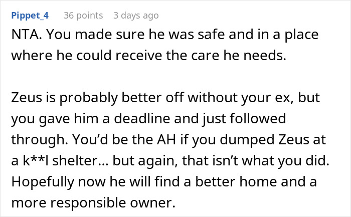 Comment explaining woman can&rsquo;t handle ex&rsquo;s dog and threatens shelter, while he remains unresponsive in discussion thread.