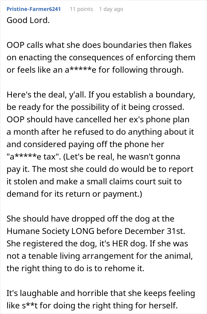 Comment discussing a woman who can&rsquo;t handle her ex&rsquo;s dog and threatens to take it to a shelter.