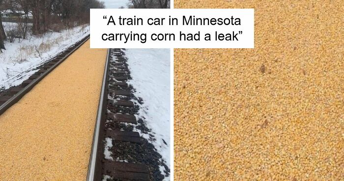 75 Unfortunate And Stupid Fails That Must Have Been Very Expensive (New Pics)