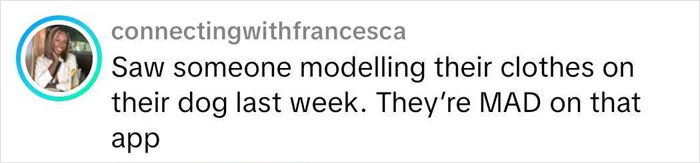 Screenshot of a humorous Vinted listing comment about a Dior handbag that has gone viral for being unhinged.