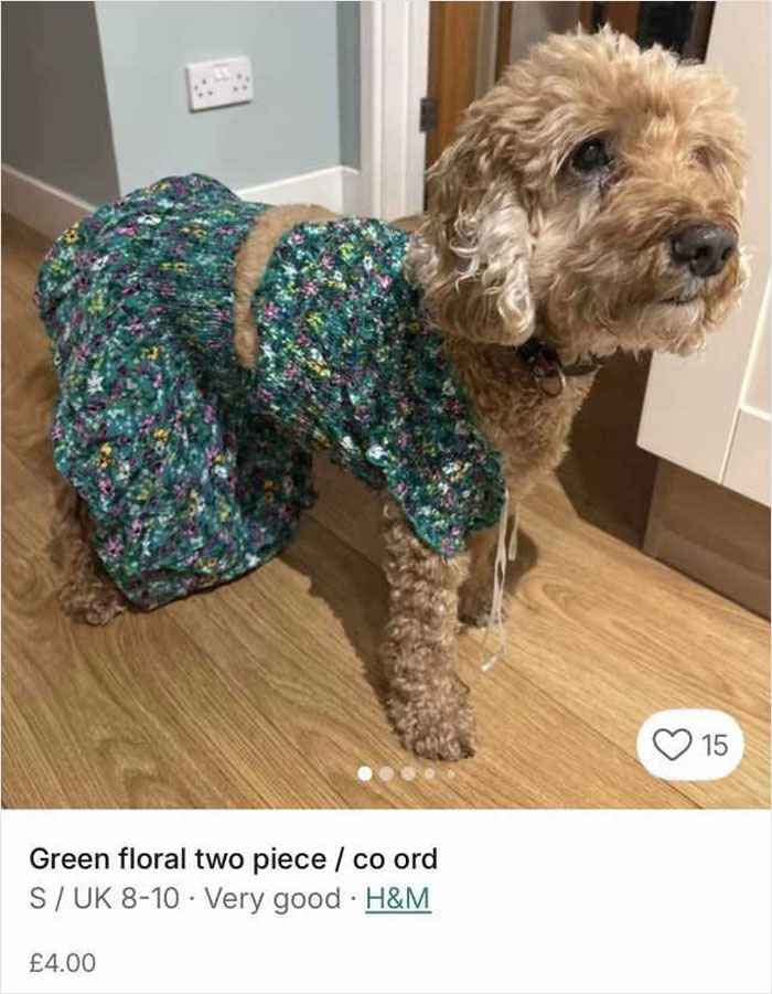 Small dog wearing a green floral dress in a Vinted listing unrelated to Dior handbag viral cremated listing.