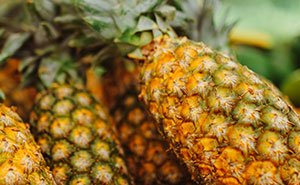 100 Facts That Linger In Your Head For Days