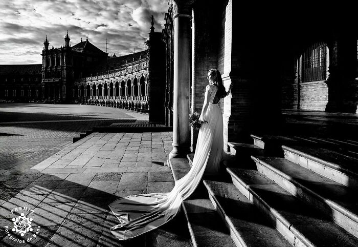 Waiting For The Moment. Phot By Jose Jordano