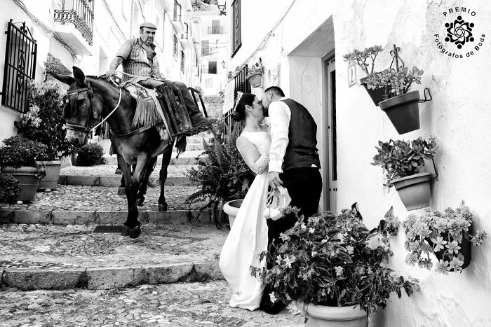 Everyday Life, Wedding Edition. Photo Pedro Volana
