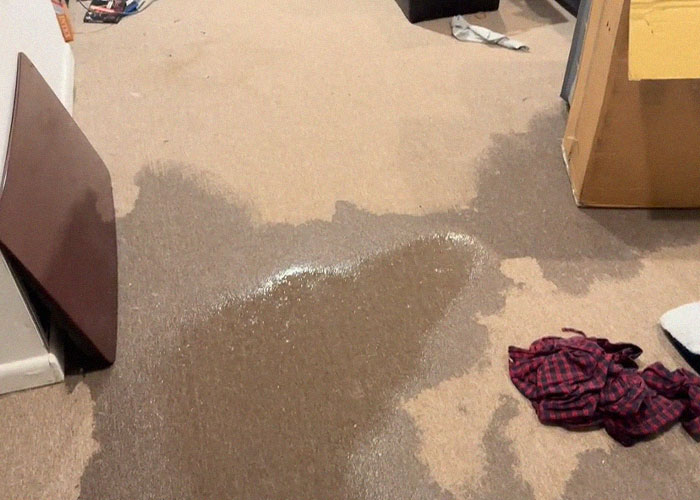 Water damage causing a large stain on carpeted floor illustrating common homeownership nightmares and maintenance issues.