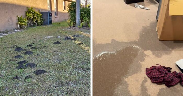 “The American Dream”: 84 Homeownership Nightmares No One Warned You About