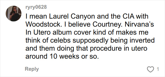 Commenter ryry0628 discussing theories about Laurel Canyon, the CIA, and Nirvana’s In Utero album in a social media post. Commenter ryry0628 discussing theories about Laurel Canyon, the CIA, and Nirvana’s In Utero album in a social media post.