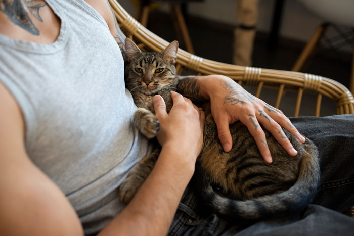 Person with tattoos wearing a gray tank top sitting in a chair holding a relaxed tabby cat in their lap.