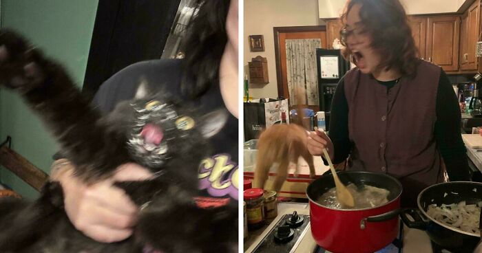 52 Blurry And Scrungy Cat Pics That Are Absolute Serotonin Boosters