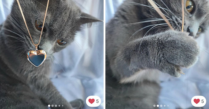 100 Hilarious Cat Cameos People Caught In Vinted Listings