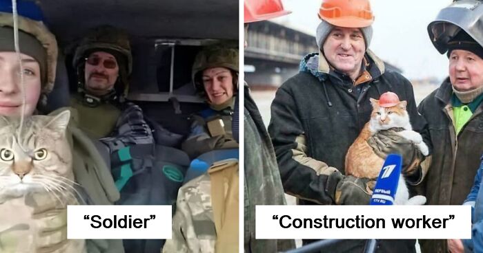 109 Feline Employees Who Deserve A Raise For Being This Cute (New Pics)